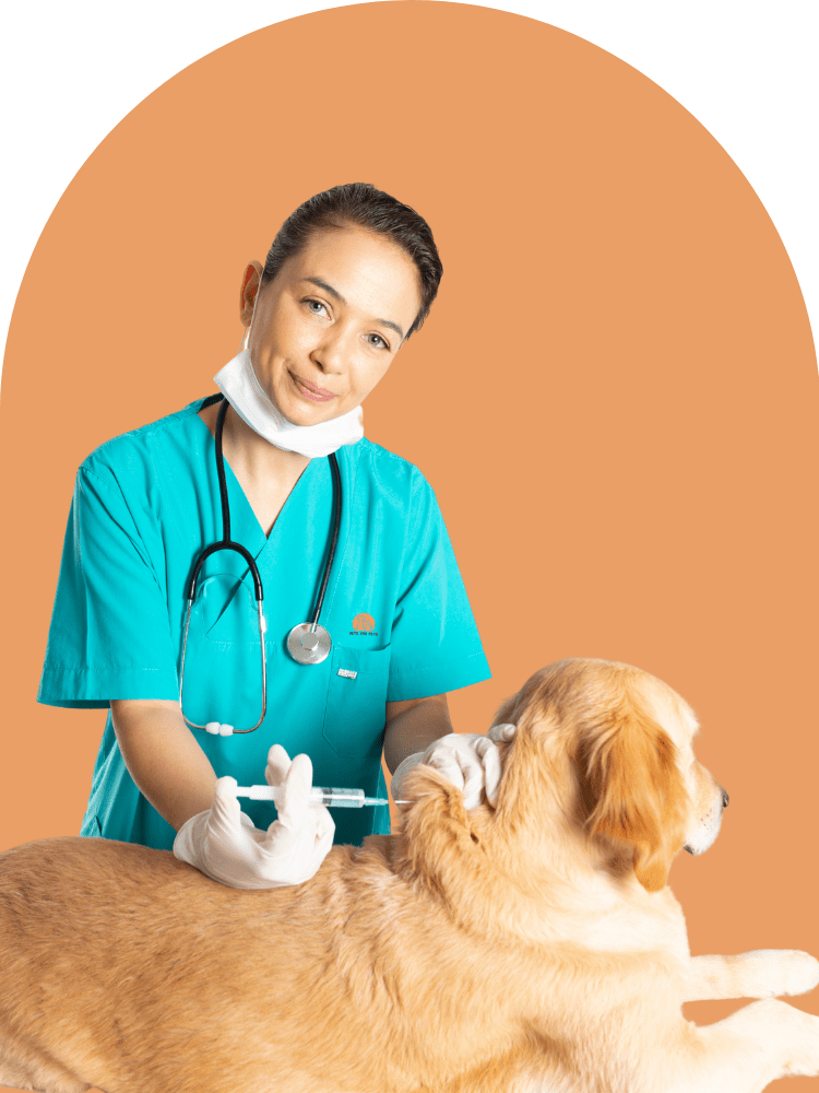 pet vaccination