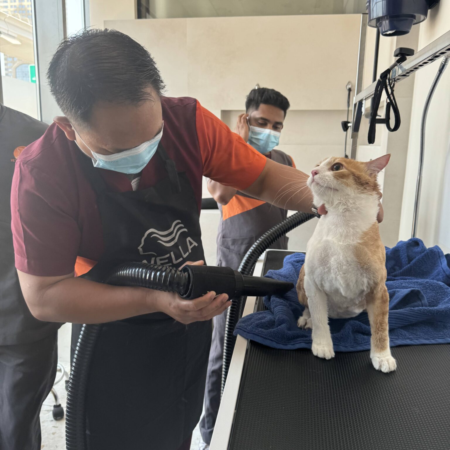dog & cat nail trimming near me