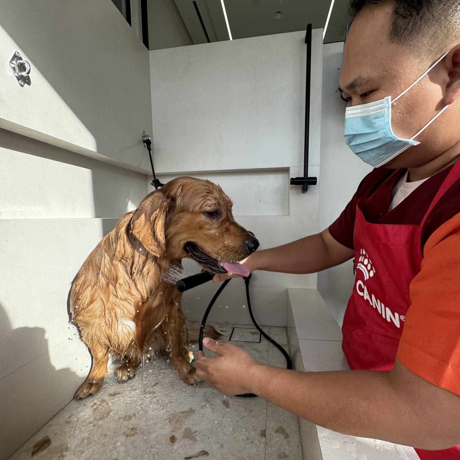 dog & cat grooming near me