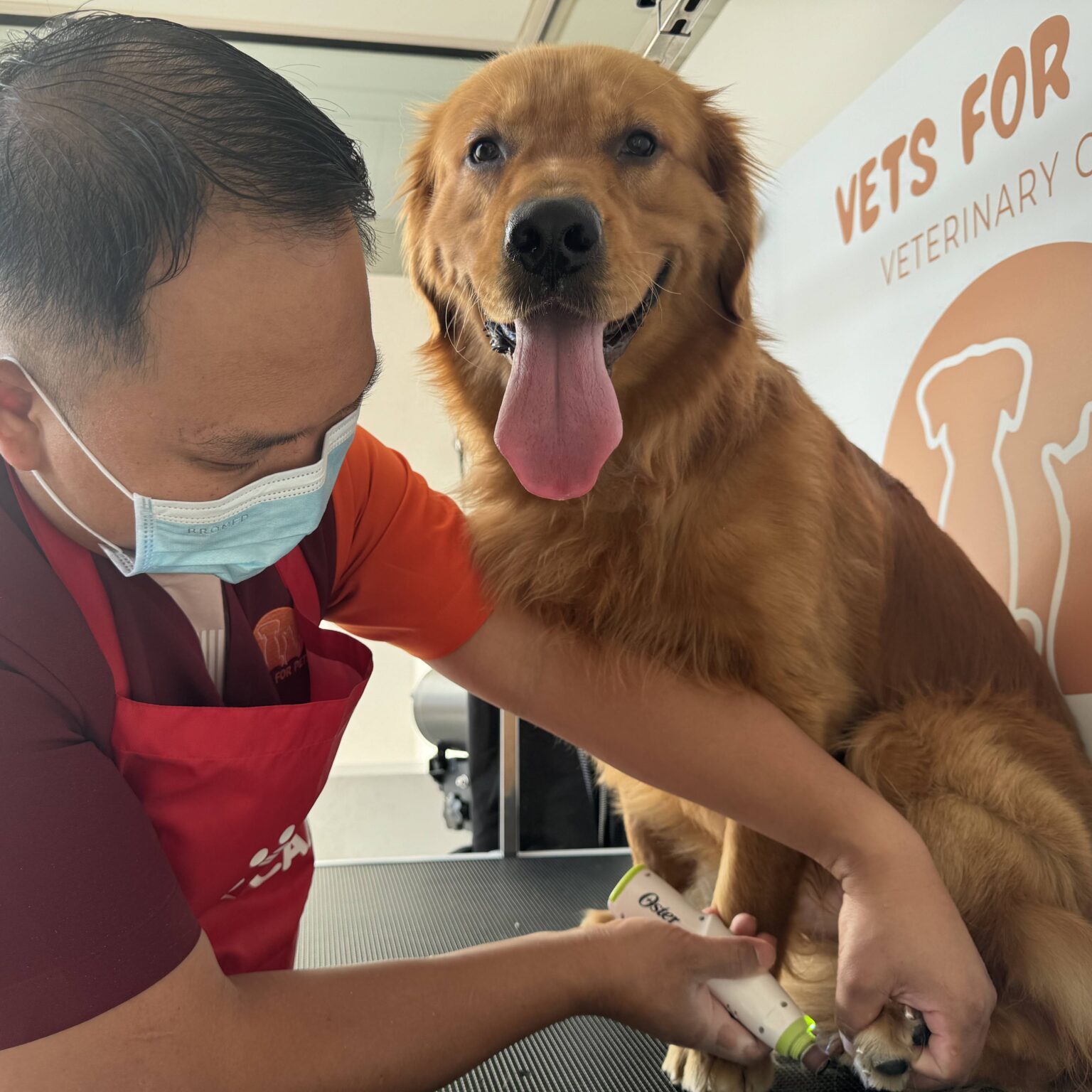 dog & cat grooming near me dubai