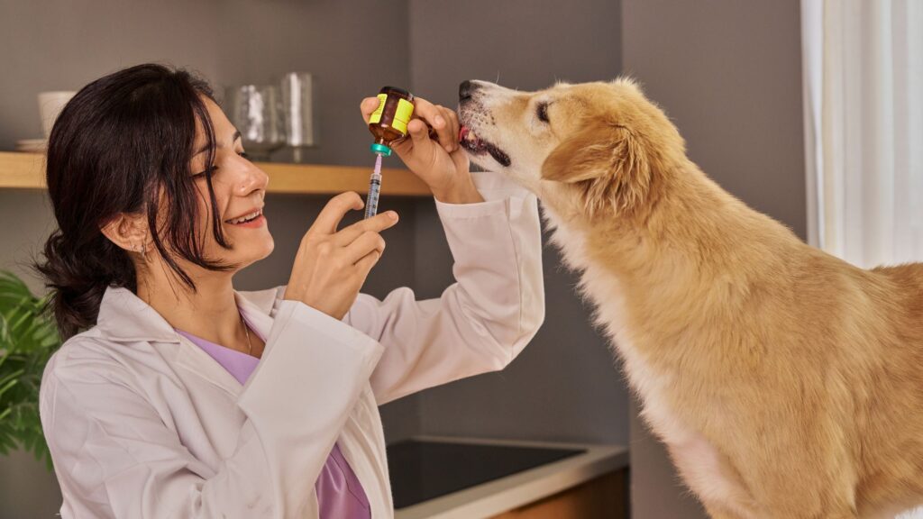 10 Warning Signs Your Dog Needs to Visit the Vet Immediately
